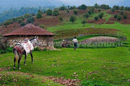 چلاو کجاست